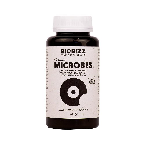 Artikelbild des Artikels “BioBizz Microbes - Hochwertige Mikroorganismen “