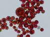 Artikelbild 4 des Artikels “Berglöwe Österreichisches Astaxanthin + Viamin D3 + Vitamin E “