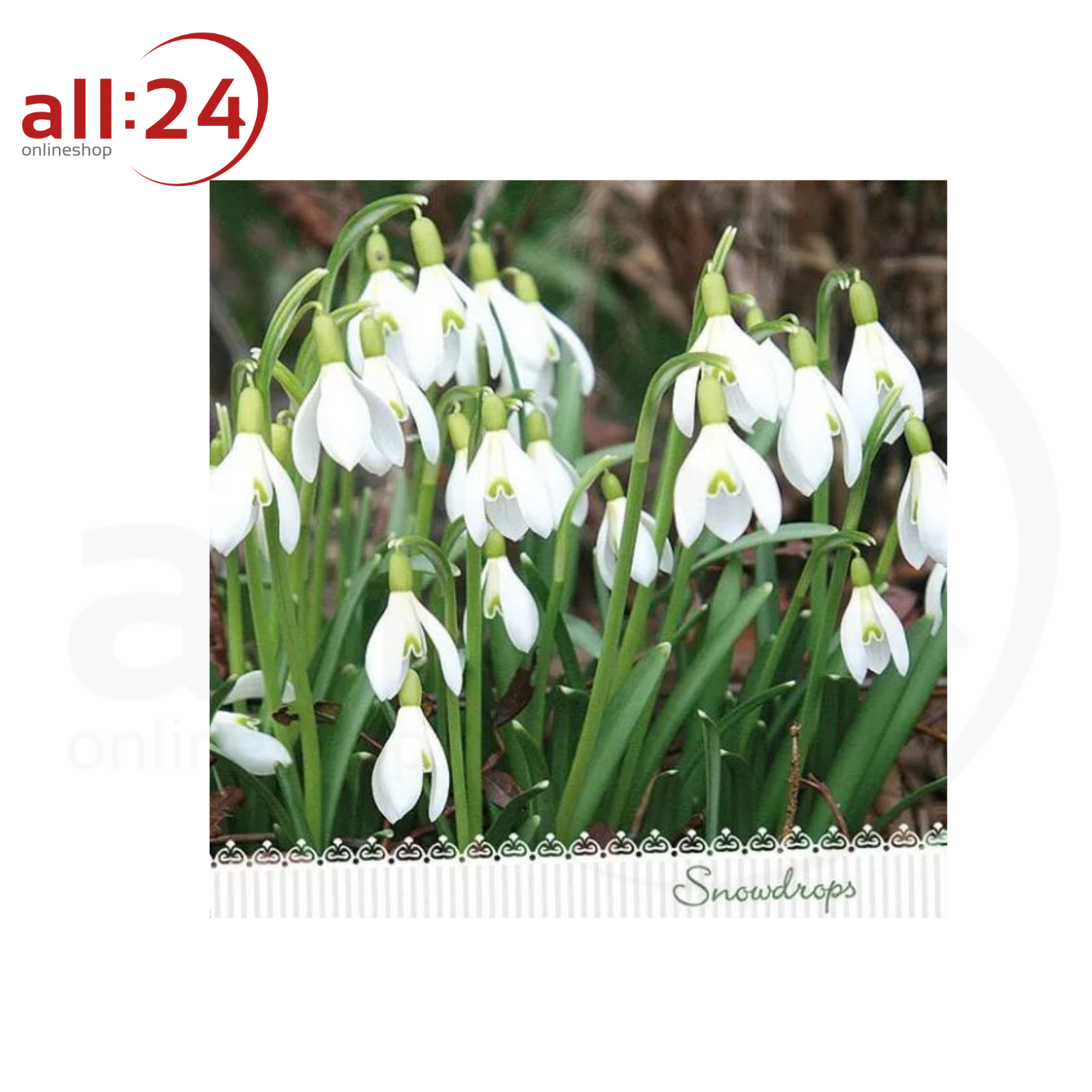 Artikelbild 1 des Artikels “Oster Servietten Schneeglöckchen 20 Stück “