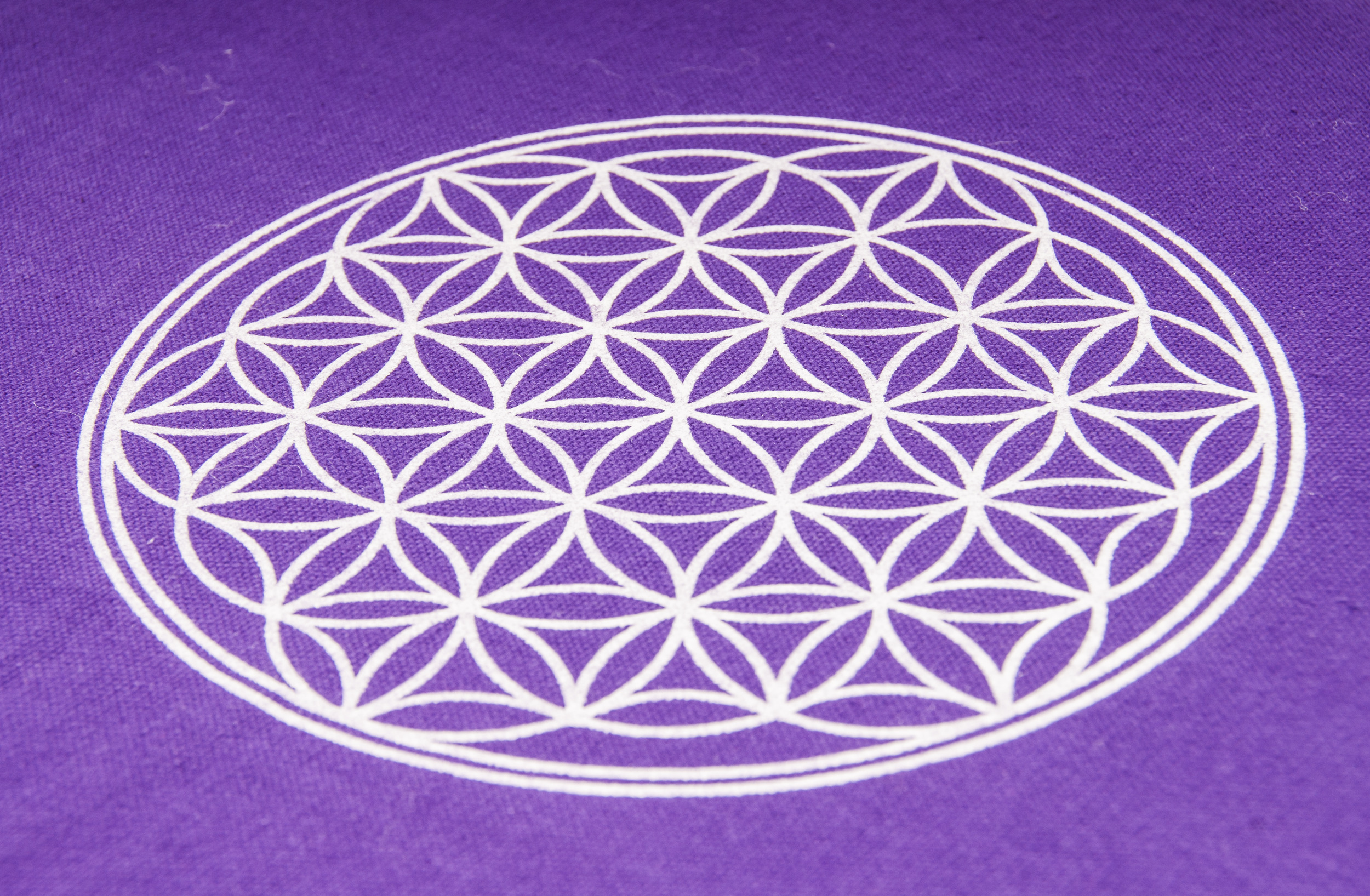 Artikelbild 3 des Artikels “Berk Akupressurmatte Akupunktur 78x45cm Violett Qualitätsprodukt “