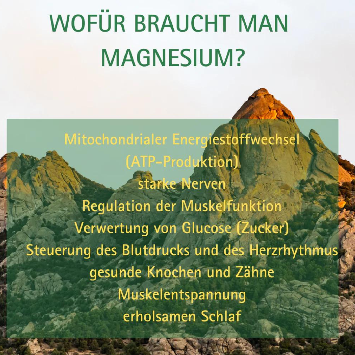 Artikelbild 4 des Artikels “GreenKing Magnesium 90 Kapseln “
